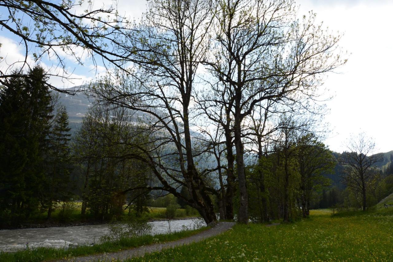 Pension Alpenblick Steeg Luaran gambar